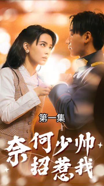 奈何少帥招惹我