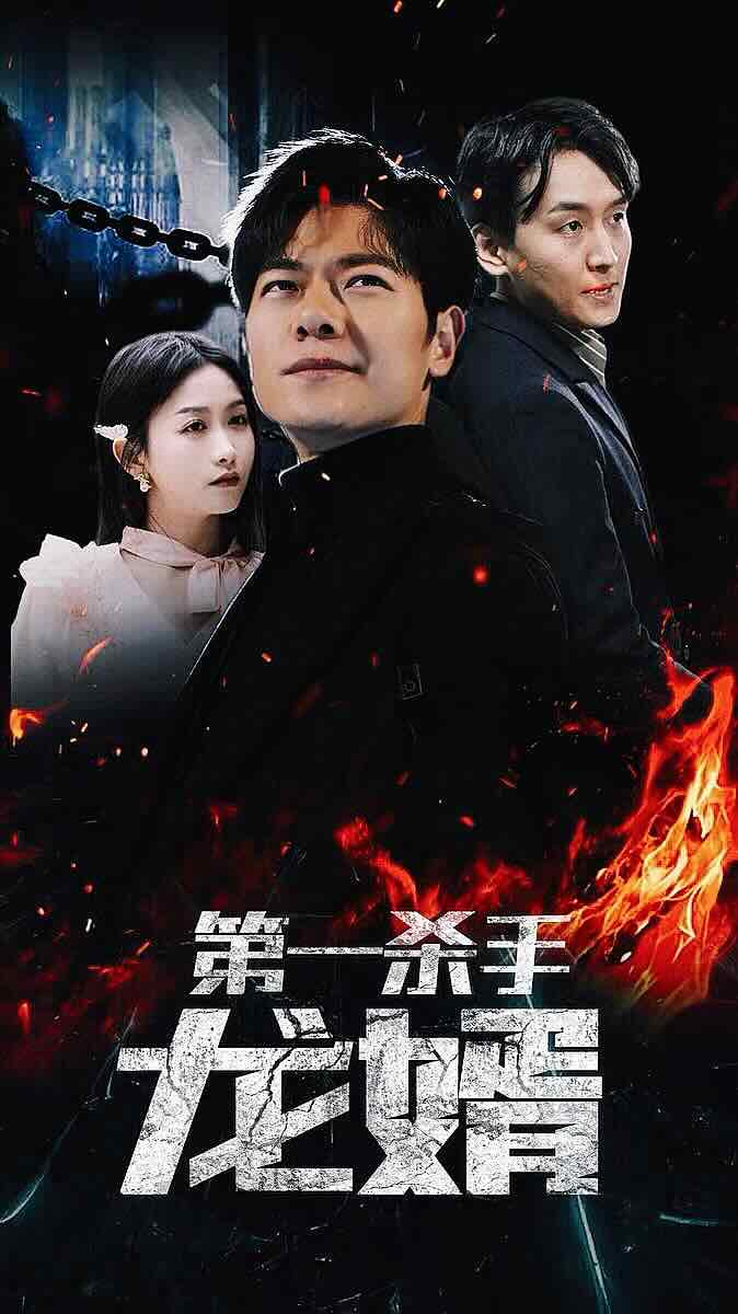 第一殺手龍婿