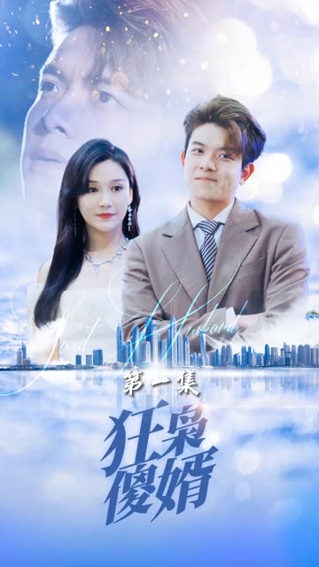 狂梟傻婿