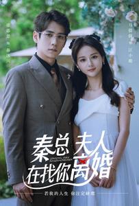 秦總，夫人在找你離婚