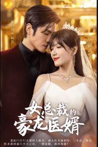 女總裁的豪龍醫(yī)婿
