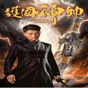 老版-護(hù)國神帥