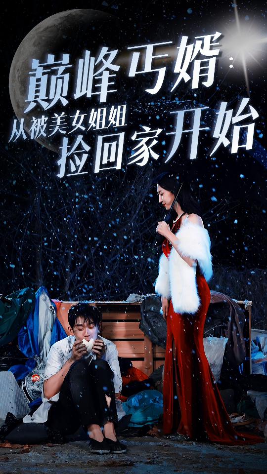 巔峰丐婿 從被美女姐姐撿回家開始