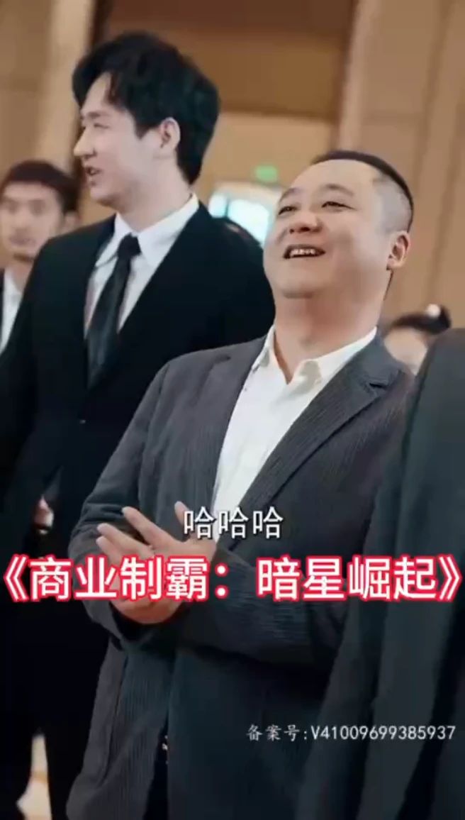 商業(yè)制霸：暗星崛起
