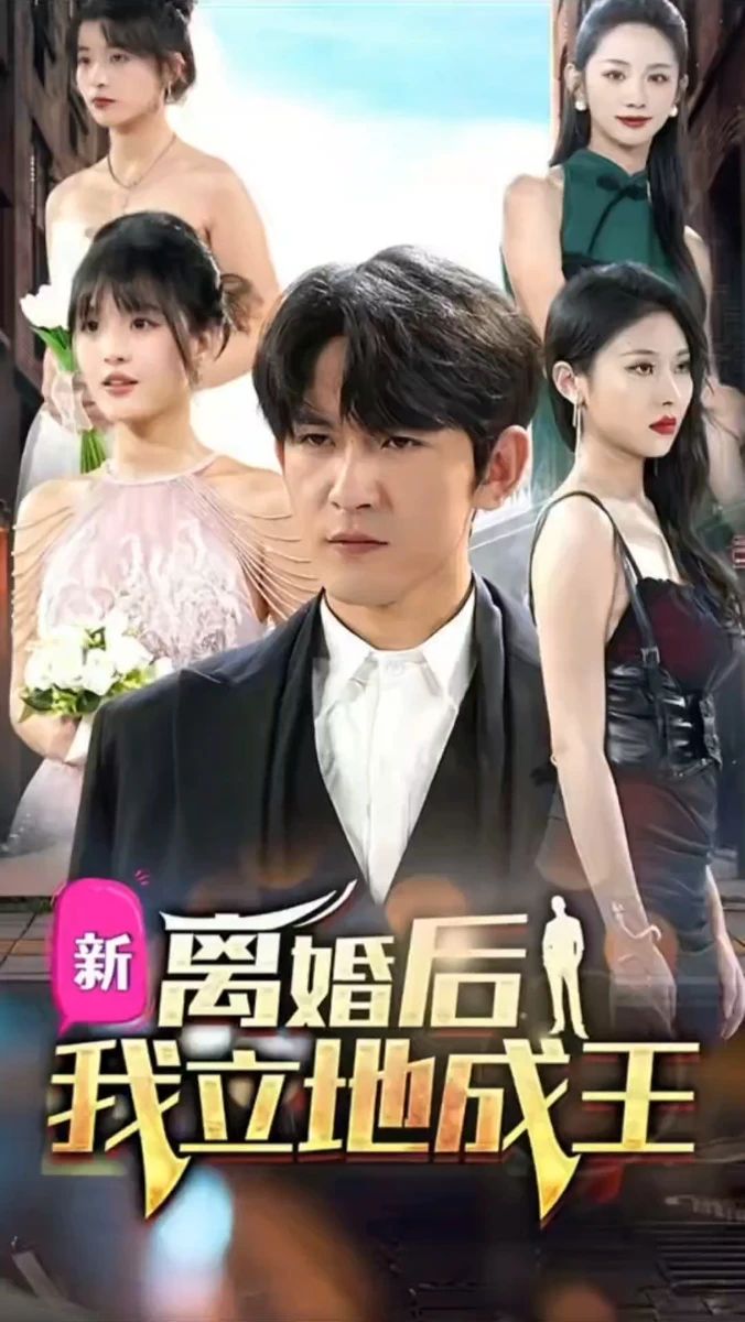 離婚后我立地成王