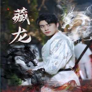 藏龍74集版