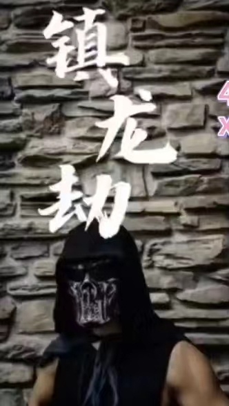 鎮(zhèn)龍劫(君臨)