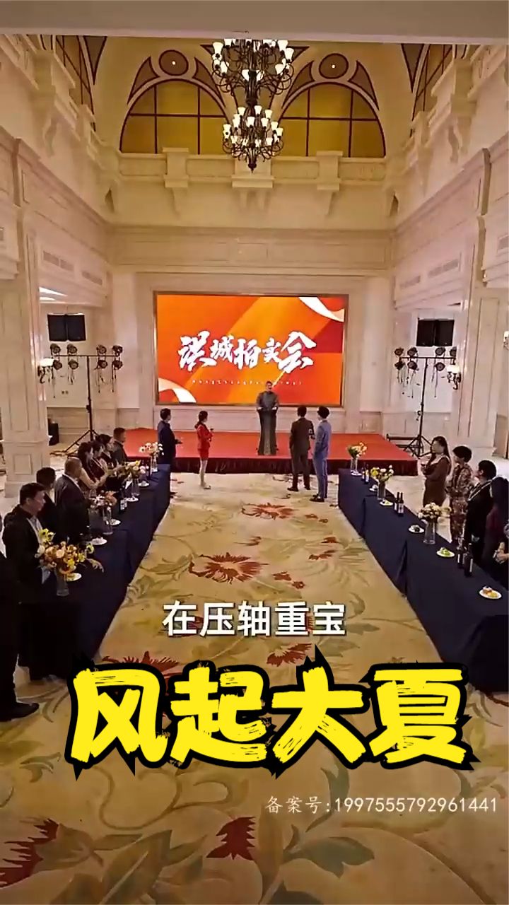 風(fēng)起大夏