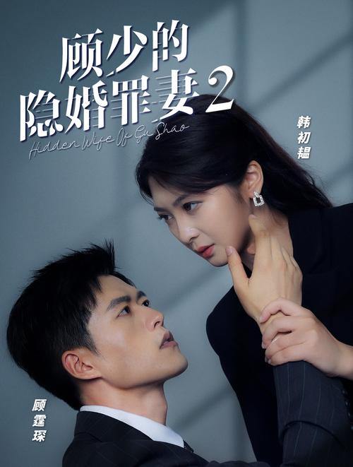 顧少的隱婚罪妻2