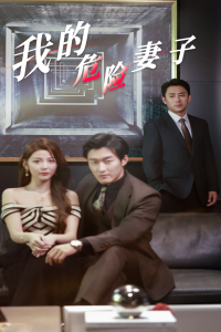 我的危險(xiǎn)妻子短劇