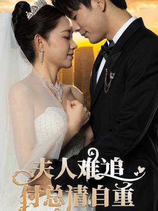 夫人難追，付總請(qǐng)自重