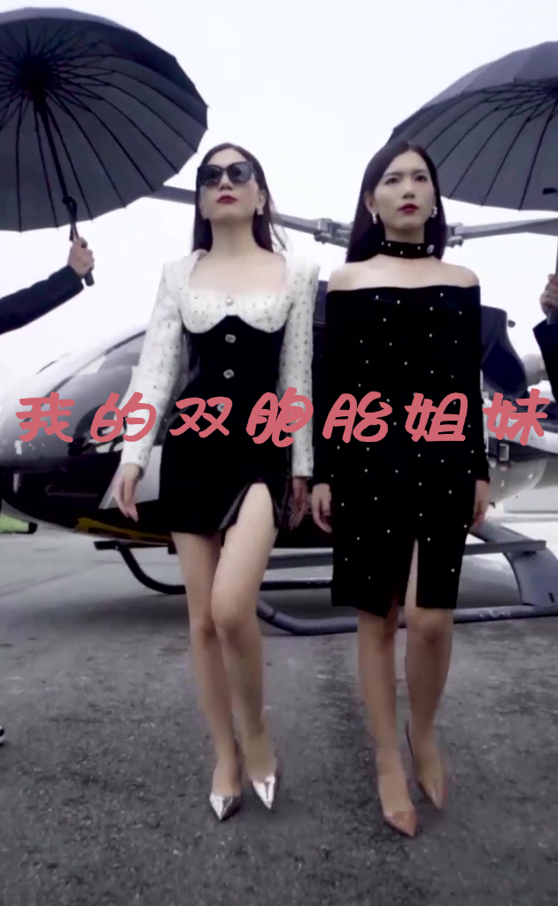 我的雙胞胎姐妹