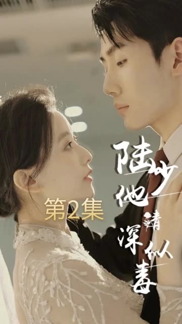 陸少他情深似毒