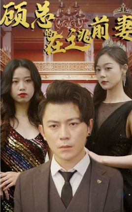 顧總的在逃前妻