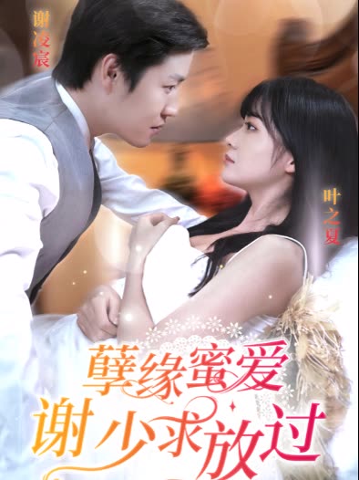 孽緣蜜愛謝少求放過