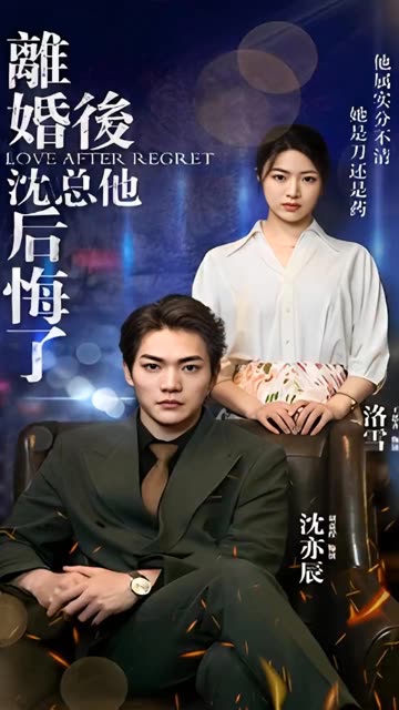 離婚后，沈總他后悔了