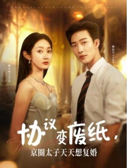 協(xié)議變廢紙，京圈太子天天想復(fù)婚