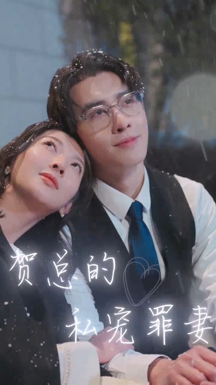 賀總的私寵罪妻