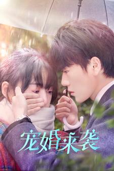 寵婚來(lái)襲