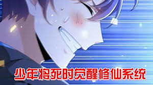 快死時覺醒修仙系統(tǒng)走向人生巔峰