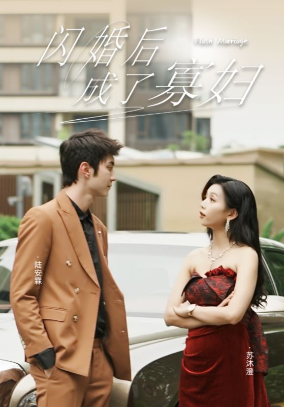 閃婚后成了寡婦