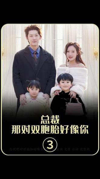 總裁，那對(duì)雙胞胎好像你