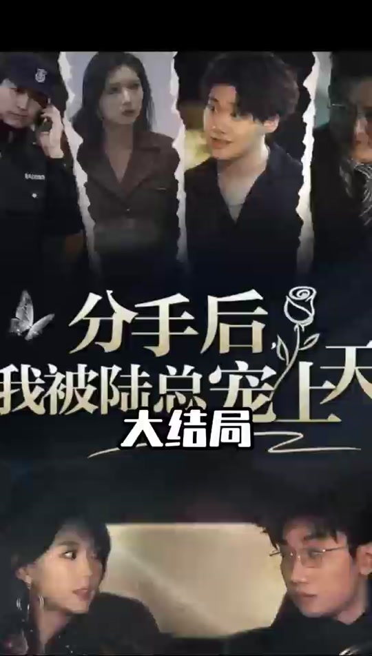 分手后，我被陸總寵上天