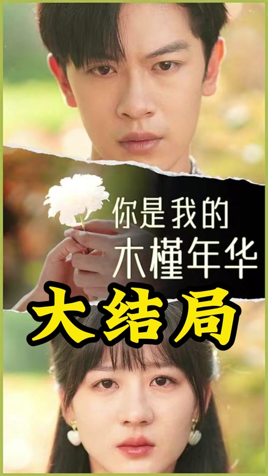 你是我的木槿年華