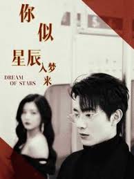 你似星辰入夢來